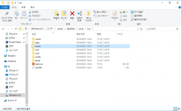 図9 Windowsファイルシステム内のWSL格納箇所